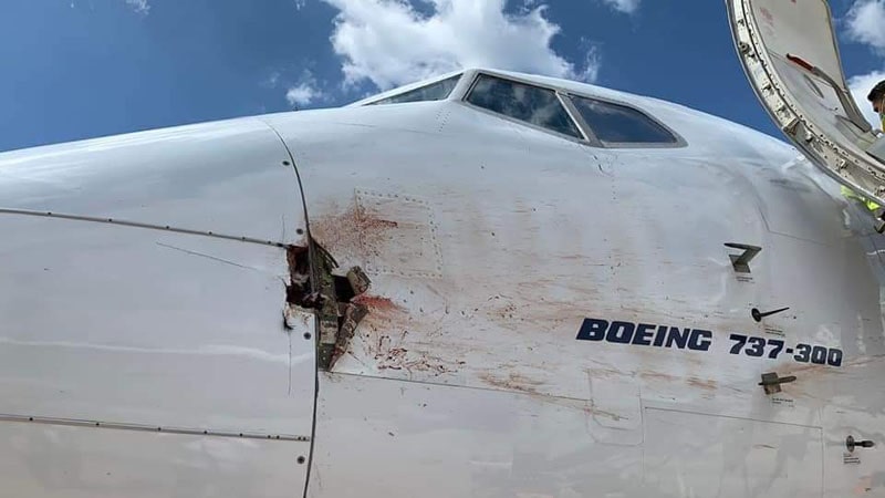 daños birdstrike boeing 737 magnicharters